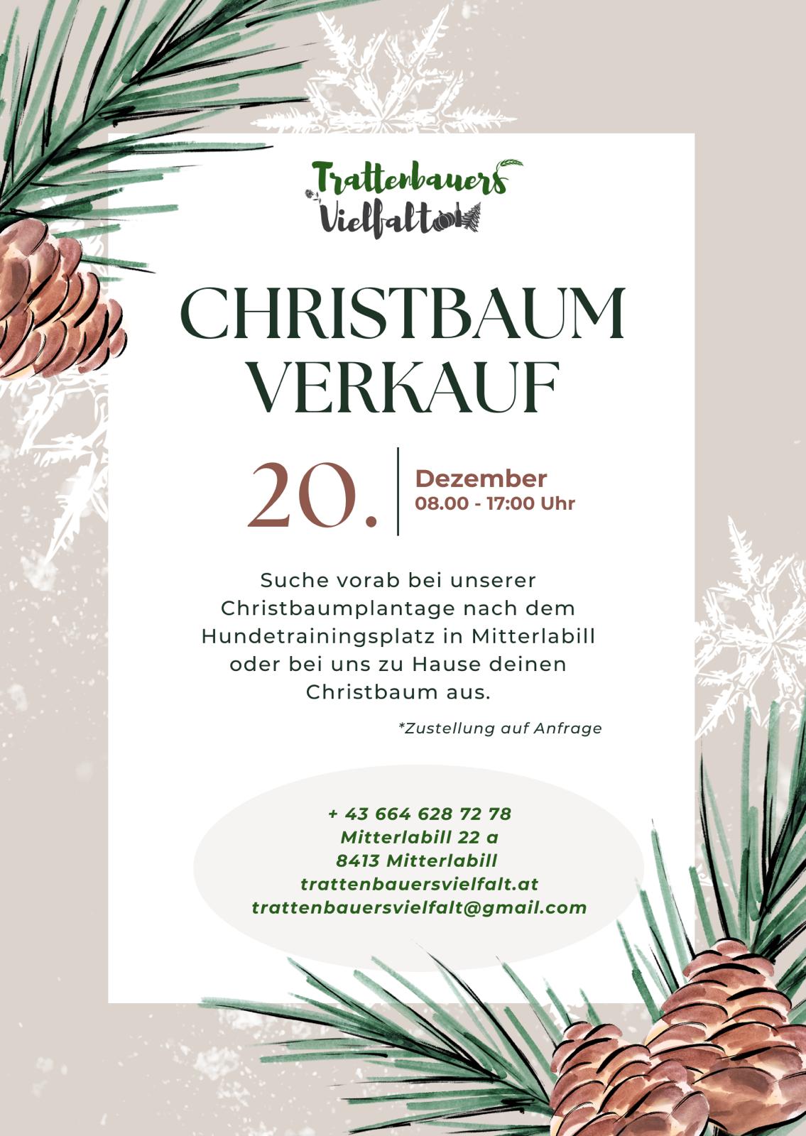 WhatsApp Image 2025-10-21 at 16.41.40